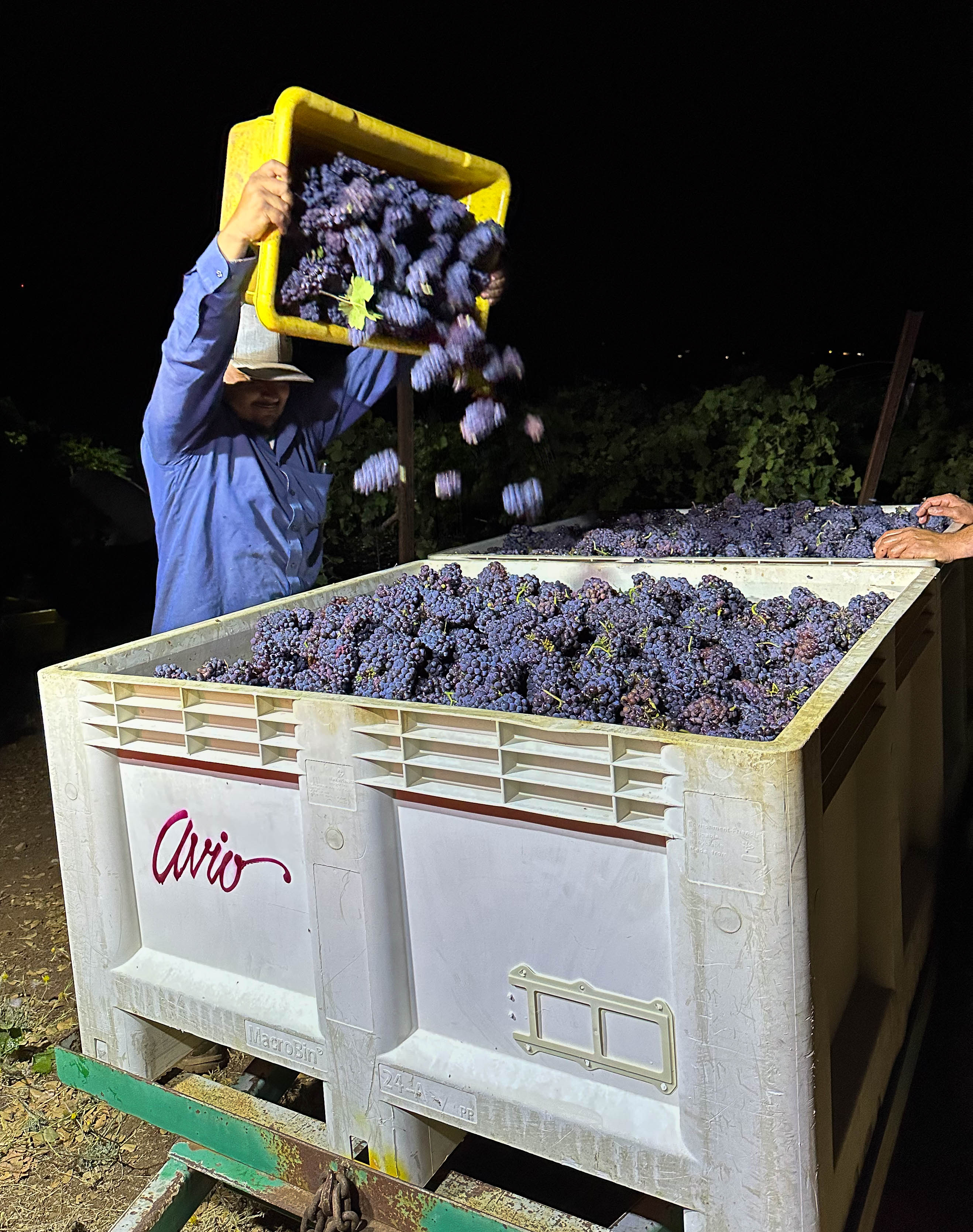 Upload Images (20 pics. and 50MB max.)